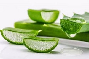 aloe prosztatagyulladás kezelésére